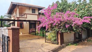 Private Parking and Driveway