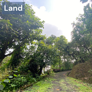 Land/Plot