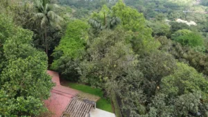 View of cottage from drone