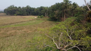 Field Views from Property