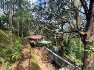 View of cottage from swimming pool area