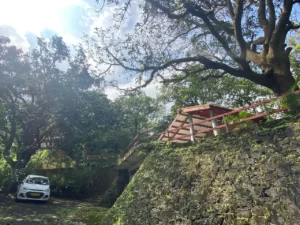 Parking and cottage area