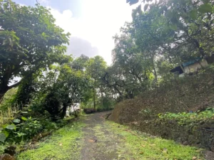 View of driveway