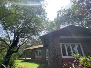View of cottage